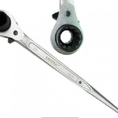 CỜ LÊ ĐUÔI CHUỘT LICOTA